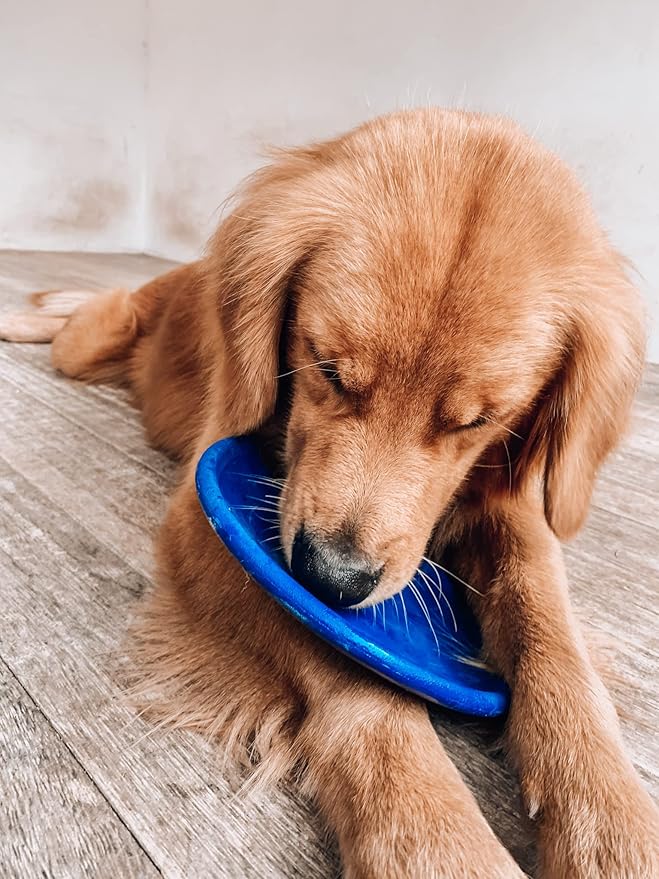 SuperChewy Tough Flying Disc Toy | Lifetime Replacement | Strong Natural Rubber | Great Dog Fetch Toys | Rubber Disc Toy for Dogs | Ultra Durable Chew Toys for Aggressive Chewers | for All Breeds