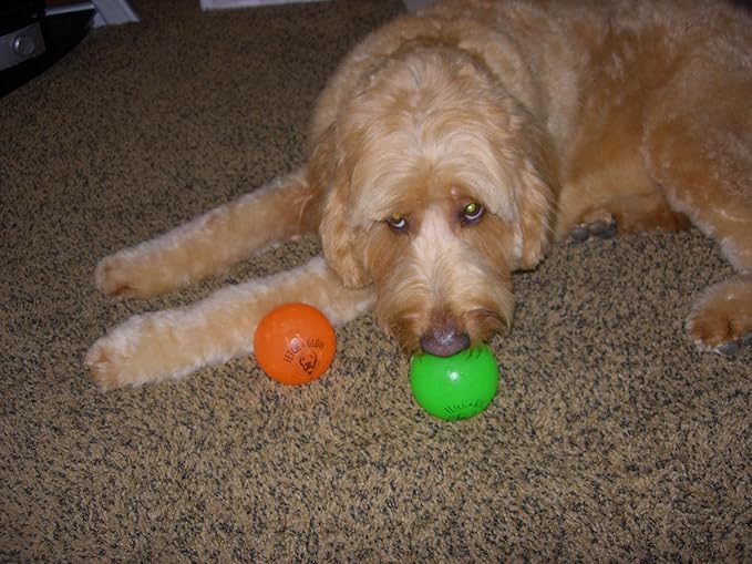 Spunky pup Fetch & Glow Ball Dog Toy | Glowing Logo Toss Balls for Large Dogs | Indoor & Outdoor Active Play | Durable | Waterproof & Floats | Non Toxic | Assorted Colors | For Large Dogs