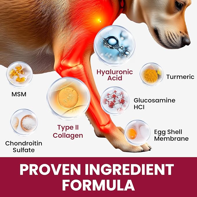 Glucosamine for Dogs Hip and Joint Supplement Chews, Chondroitin Joint Supplement for Dogs, Joint Chews for Dog, Dog Supplement for Joint Pain Relief - 60-Day Satisfaction Guarantee -180 Ct