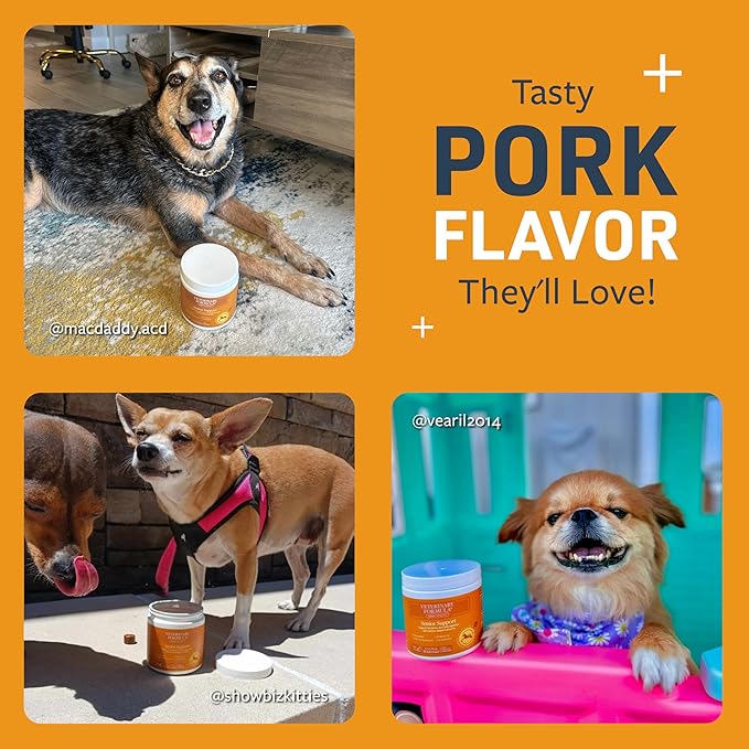 Veterinary Formula Senior Support Joint Supplement for Dogs - Soft Chews, 100ct - Support Healthy Joints, Skin, Gut, and Immunity with Glucosamine for Dogs