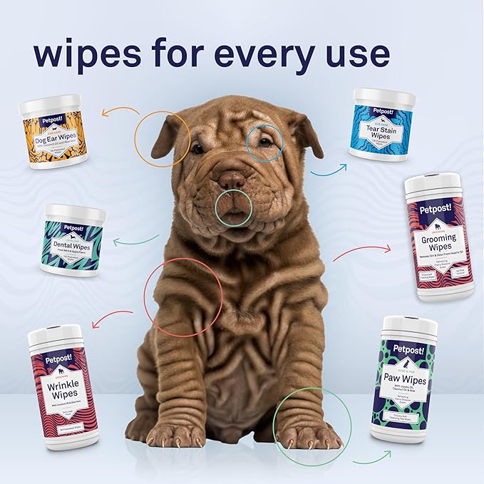 Petpost | Large Dog Ear Cleaner Wipes - Ultra Soft XL Cotton Pads in Coconut Oil Aloe Solution - Remedy for Dog Ear Rinse & Cleanser 60 ct.