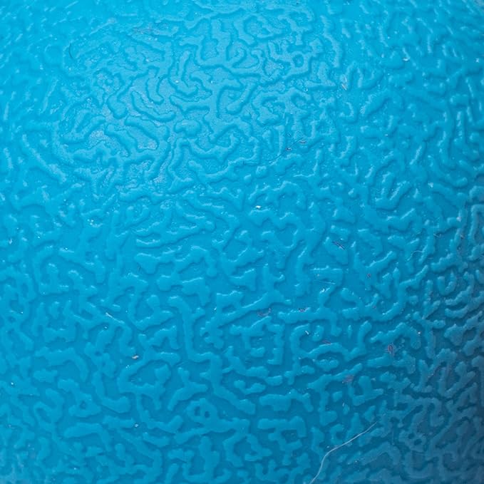 Amazon Basics Dog Toys, Interactive Fetch Rubber Balls, (Pack of 3), 2.5 inch, Blue, Orange