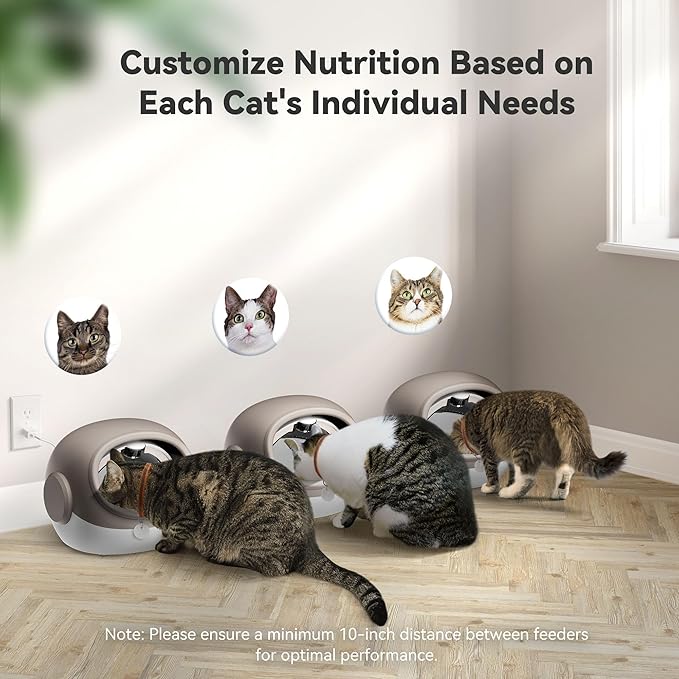 Upgraded RFID Cat Feeder with Collar Sensor – 4 Feeding Modes, Anti-Theft Pet Feeder for Multi-Cat Households, Timed Collar-Activated Feeder for Special Diets & Portion Control (2 Collar)