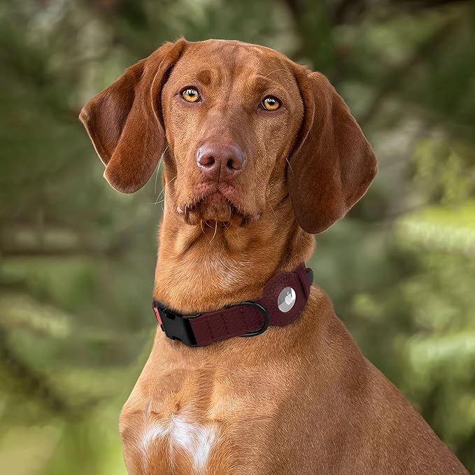 AirTag Dog Collar with Metal Buckle - Soft Leather Printed Nylon Dog Collar with Apple AirTag Holder - Cute Tracking GPS Pet Collars for Girl Boy Small Large Dogs (M, 14"-18" Neck Fit, Crossandra)