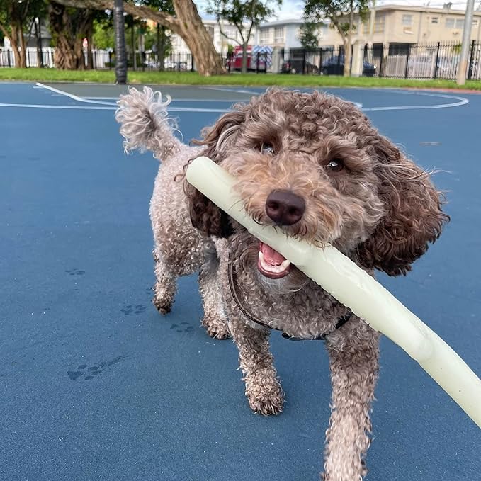 Spunky pup Glow in the Dark Stick Dog Toy Non-Toxic Waterproof Dental Texture for Teeth and Gums