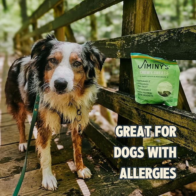 Jiminy's Chewy Cricket Dog Training Treats, Low Calorie, Hypoallergenic, 6oz, Sweet Potato & Pea (Pack of 1)