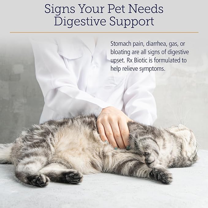 Rx Vitamins Rx Biotic - Probiotic Powder for Dogs and Cats - Cat Digestive Support & Probiotic for Dogs Gut Health - Dog Probiotics for Digestive Health - 2.12oz