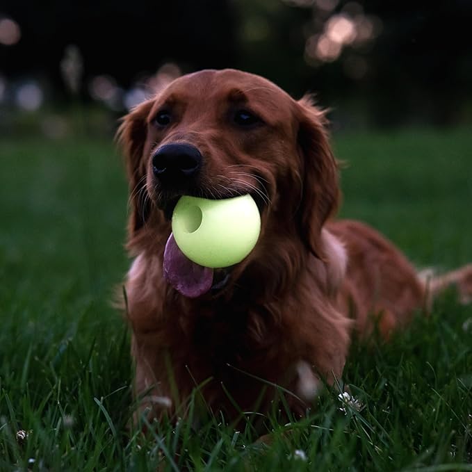 Harry Barker Glow Balls and Chew Stick, Rubber Bone for Dogs - 3" Glow Balls