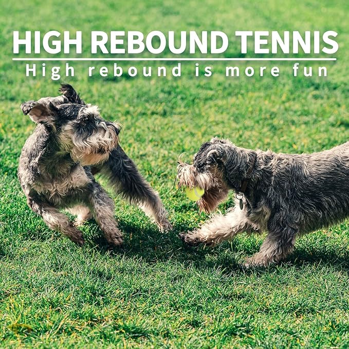 ALL FOR PAWS 2.5-inch Tennis Balls for Dogs, Fetch Toys for Medium Large Dogs, Bouncy & Durable Tennis Balls for Ball Launcher Toy, 6 Pack Fetch Toy for Outdoor Play