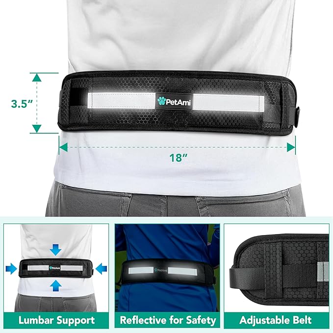 PetAmi Heavy Duty Hands Free Dog Leash, Adjustable Waist Belt for Large Dog Walking Up to 125 lbs, Bungee Leash for Pet Running, Hiking, Reflective Safety for Jogging, Biking, Green Handle