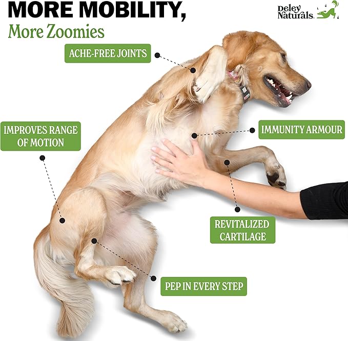 Deley Naturals Hip and Joint Supplement for Dogs - Glucosamine for Dogs with MSM, Turmeric, Chondroitin & Collagen Supplements - Joint Support Chews for Mobility, Flexibility & Comfort - 120 Chews
