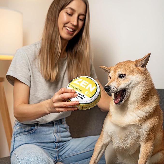 Zen Pupper Deckies Parody Dog Toy - Plush Squeaky and Crinkle Funny Dog Toy (Citrus Lick)