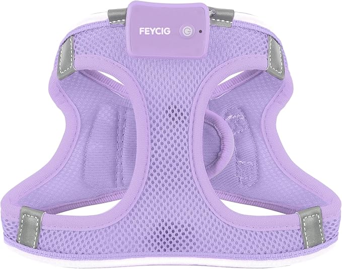 Light Up Dog Harness,Rechargeable LED Dog Harness for Small Medium Large Dogs,Reflective Lighted Safety Vest for Night Walking & Camping,Lightweight & Adjustable,Lavender Purple,M