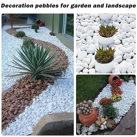 11 Lbs Natural River Rocks for Plants 1.6-2.5 inches Large White Landscaping Garden Stones White Aquarium Gravel Decorative Pebbles for Indoor Outdoor Planters Home Decor