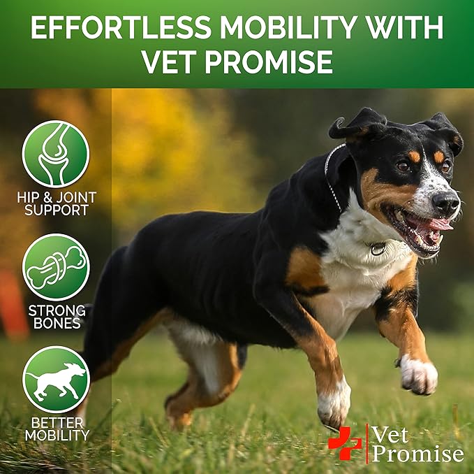 Vet Promise Glucosamine for Dogs - Hip and Joint Supplement for Dogs - Glucosamine Chondroitin - Joint Pain Relief Pills - MSM - Advanced Health Support Supplement - 120 Mobility Chews - Made in USA
