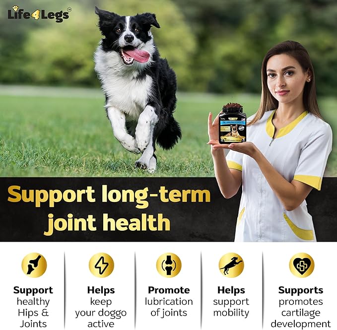 Soft Chews Hip and Joint Supplement for Dogs - Dog Joint Pain Relief Treats - Glucosamine, Chondroitin, Turmeric- Mobility Bites Supplement