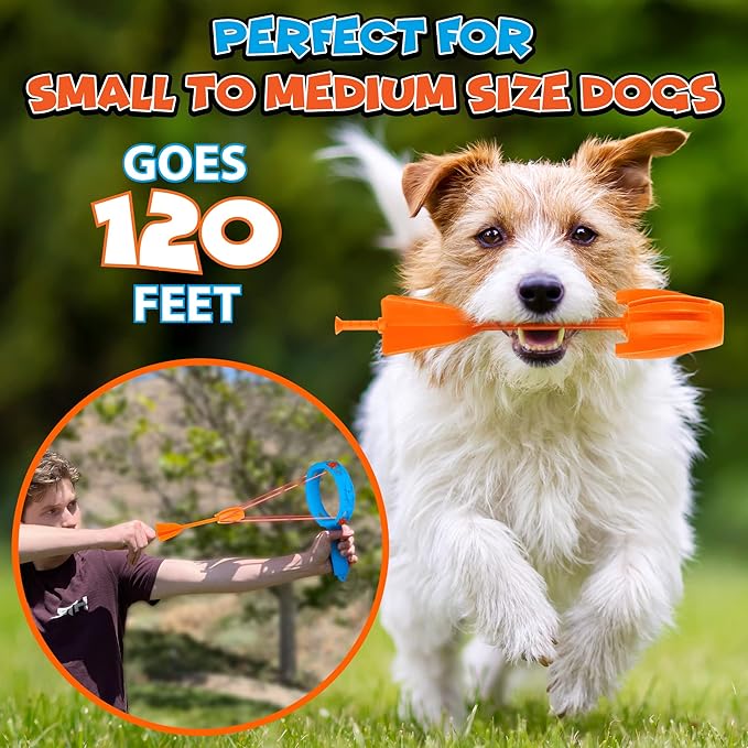 Funwares Ring Strike Fetch, Launcher for Dogs, Fetch Toy for Medium and Small Dogs