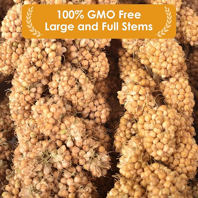 KATUMO Bird Millet Treats, 1.1LB / 500g Natural Healthy Parrot Millet Spray Cockatiel Treats for Parakeet Budgie Finch Conure Pigeon Lovebird Hamster