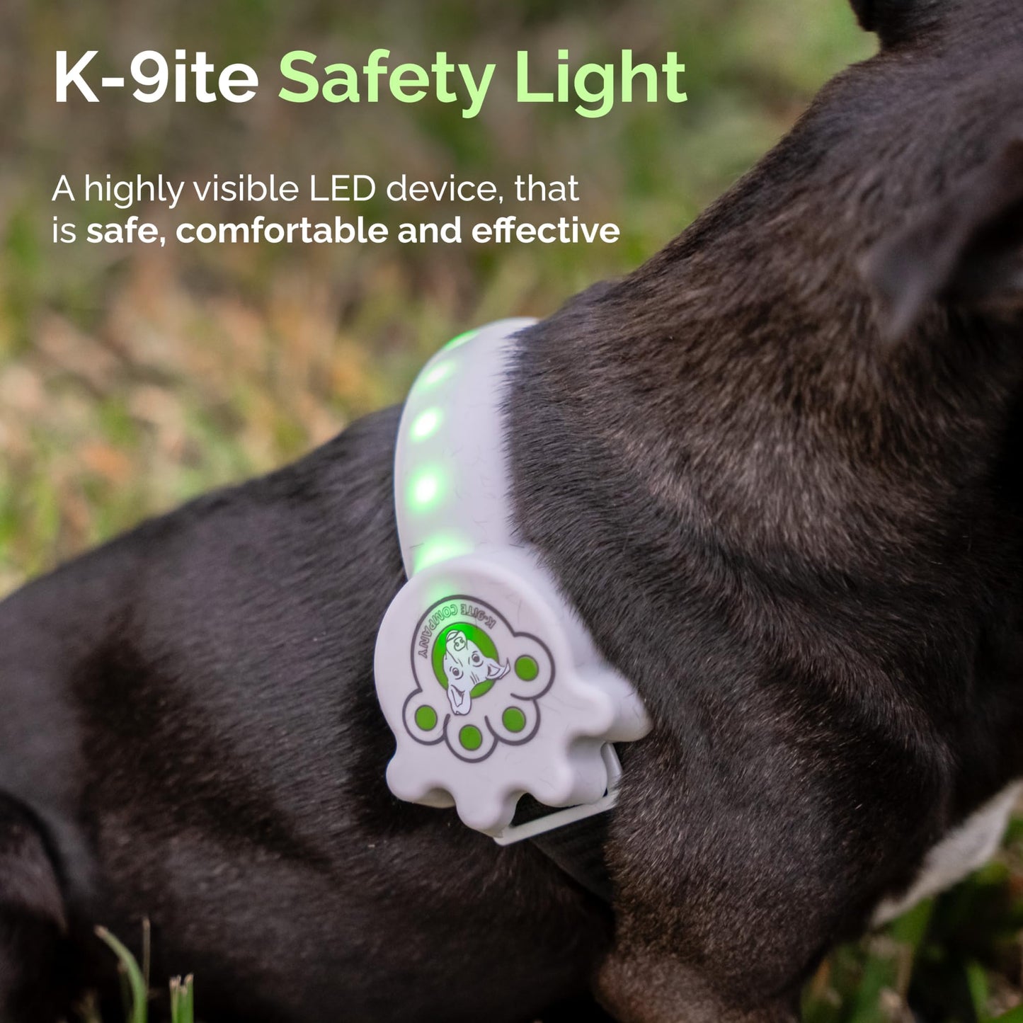 Better Than Light up Dog Collar for Small Dogs, LED Dog Collar Rechargeable, Dog Safety Device With An Unique Belt-Style Design