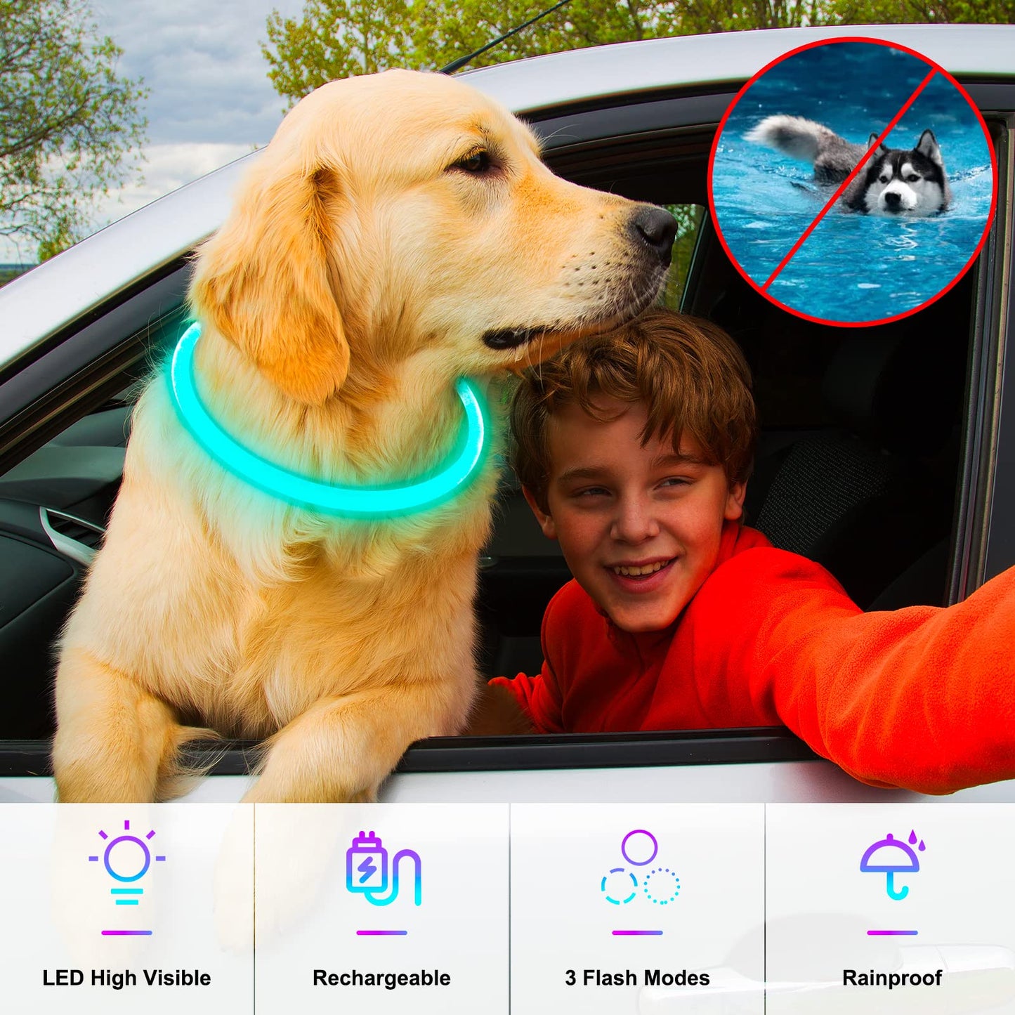 Light Up Dog Collars, USB Rechargeable Dlitk LED Dog Collar 1 Count, TPU Cuttable Size Glow Collar for Dogs, Dog Collar Light, Please Do Not Use Fast Charging (Cyan)