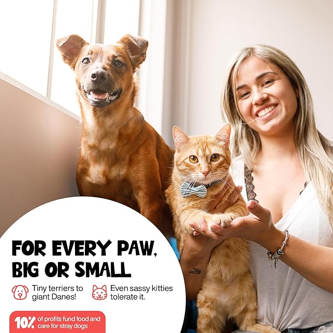 Paw Cleanser - Gentle, Unscented Foaming Cleanser with Built-in-Brush - No-Rinse Paw Cleaner for Dogs and Cats - Paw Cleaner for Repairing & Restoring Cracked Paws - 5.07 fl oz