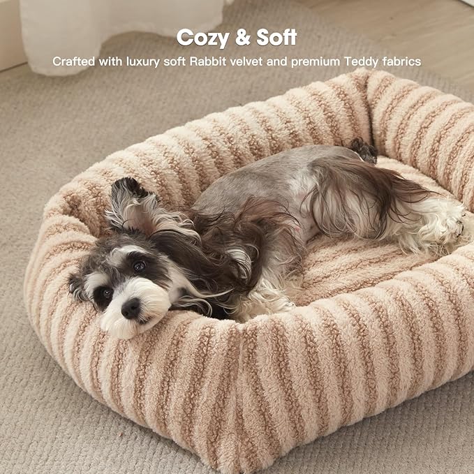MIXJOY Small Dog Beds for Small Dogs, Washable Dog Bed with Removable Cover, Rectangle Pet Beds, Warming Soft Calming Sleeping Puppy Bed with Non-Slip Bottom, 20"x19"x6", Beige