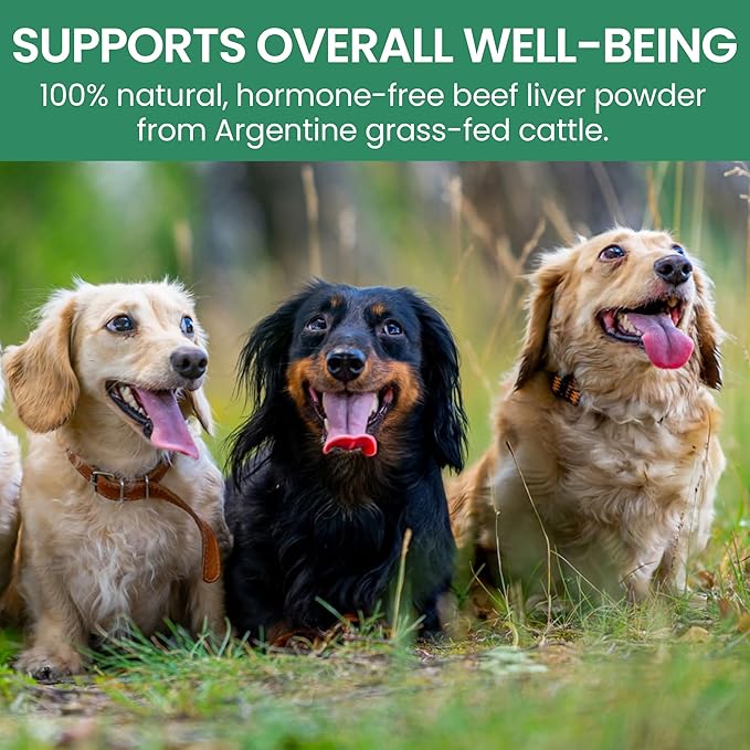 Holistic Bin Canine Beef Liver – Gut Health, Wellness Protection, Energy, Vitality, and Shiny Coat – Superfood for Dogs – Rich in Nutrients, Vitamins & Minerals – 50 Grams