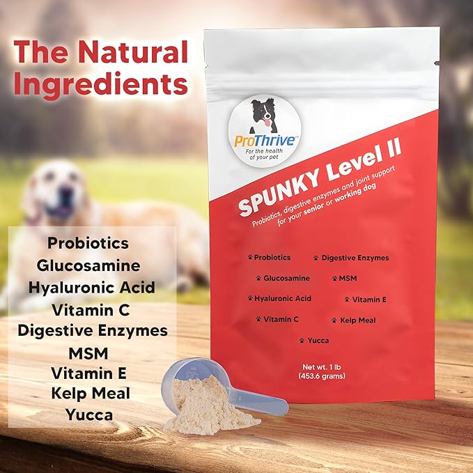 Spunky Level II Hip and Joint Supplement for Dogs, Glucosamine for Dogs with MSM, Dog Vitamins and Supplements Helps Digestion, Dog Joint Supplement - 1LB