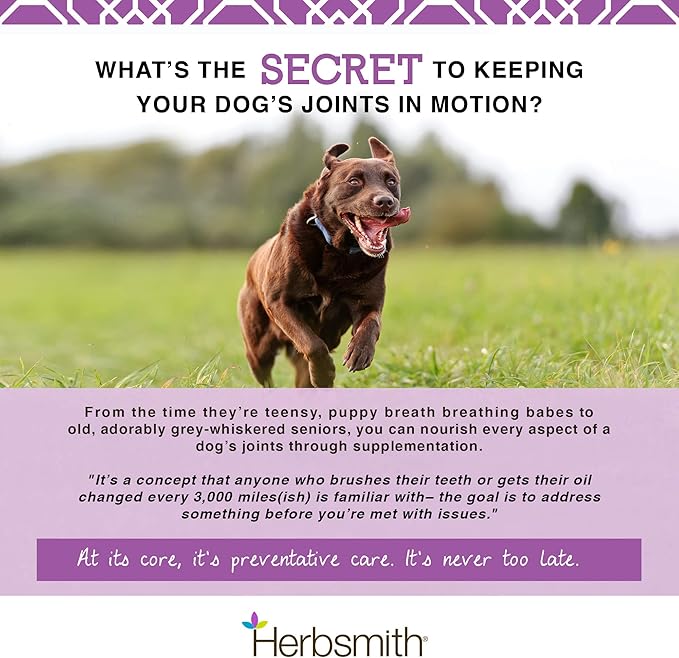 Herbsmith Sound Dog Viscosity – Advanced Joint Support for Dogs – Veterinarian Recommended Glucosamine for Dogs, Hyaluronic Acid, Chondroitin, MSM – 150g Powder