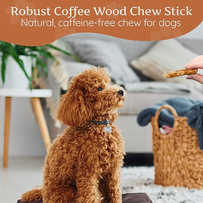 Wildfang® Coffee Wood Dog Chew, XS - Tough Chew Toys for Aggressive Chewers, Dog Teething Toys for Puppies, Training for Chewing Muscles, Coffee Tree Sticks for X-Small Dogs (Under 22 lbs), Pack of 3