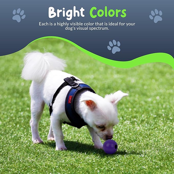 Balls for Aggressive Chewers - Small Dogs and Puppies - 2 Inch - 4 Pack - Indestructible Rubber Dog Chew Toys Bulk for Miniature Toy Breeds