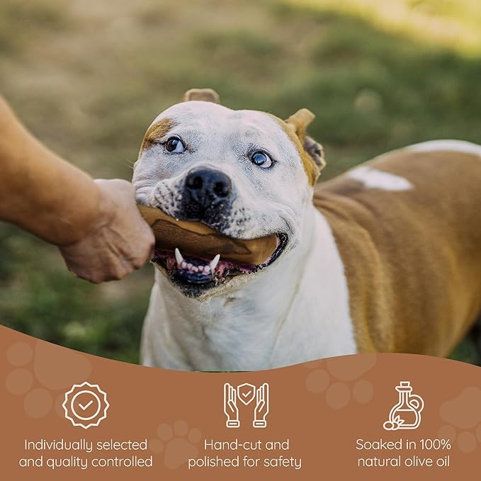 Wildfang® Olive Wood Chewing Sticks for Dogs, Large - Tough Chew Toys for Aggressive Chewers, Puppy Chew Toys for Teething, Training for Chewing Muscles, Olive Wood Stick for Dog (Over 55lbs)