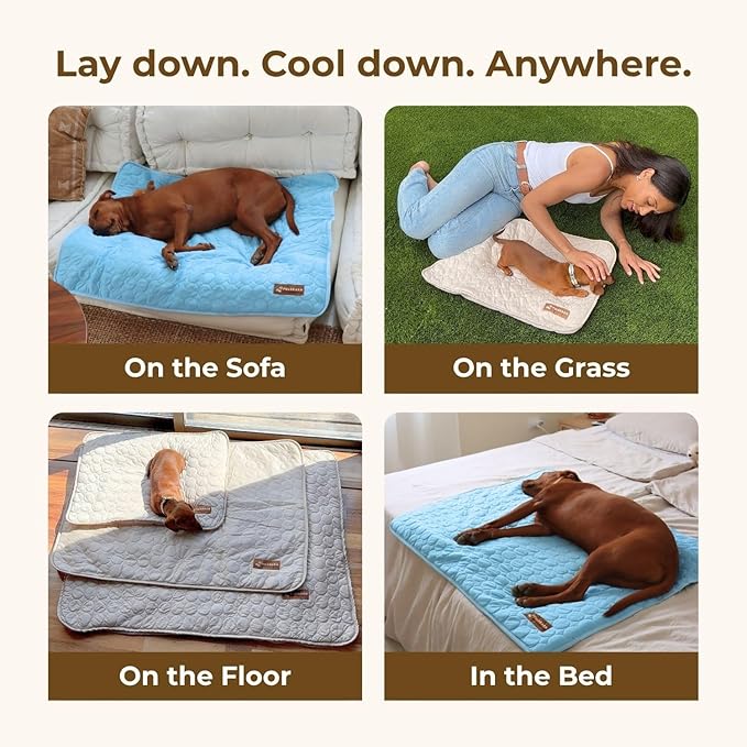 Pelsbarn Dog Cooling Mat- Ice Silk Summer Comfort, Self Cooling, Non-Slip Dog Pad, Durable & Washable, Mat for Large Dogs 65x95 cm, Support Shelter Dogs with Every Purchase (Blue)