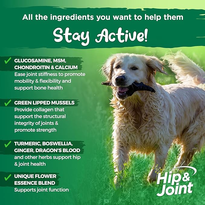 Vital Planet - Natural Hip and Joint Supplement for Dogs - Potent Herbal Blend with Green Lipped Mussel, MSM and Glucosamine (120 Chewable Tabs)