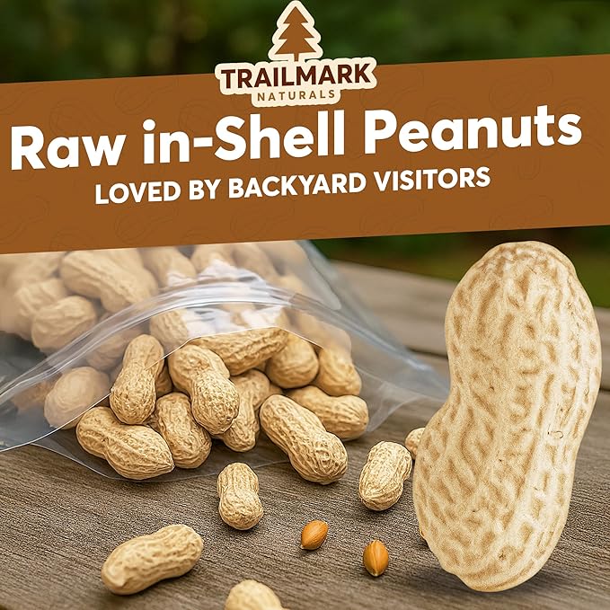 1 LB - Raw Peanuts For Squirrels, Raw In Shell Peanuts For Birds and Wildlife- Squirrel Food, Wild Bird Seed - Grown in The USA