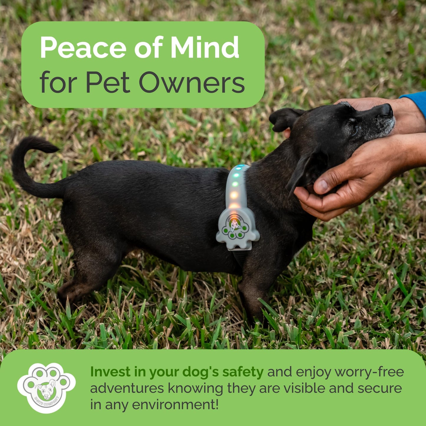 Better Than Light up Dog Collar for Small Dogs, LED Dog Collar Rechargeable, Dog Safety Device With An Unique Belt-Style Design