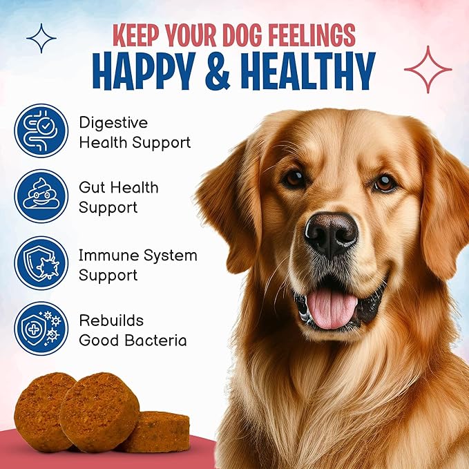 Flying Dog Probiotics for Dogs, Digestive Health, Diarrhea & Bowel Support, Dog Probiotics Soft Chew for Pet Immune System, Pumpkin, Dog probiotics for Yeast, Itchy Skin and Itchy Ears