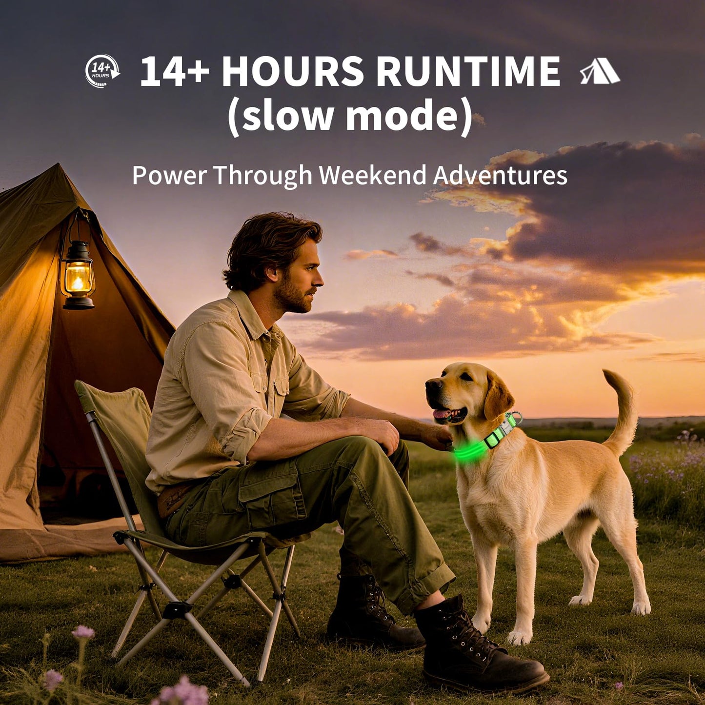 LED Dog Collar with Metal Buckle - USB Rechargeable Glow Collar for Dogs, Waterproof Light Up Dog Collar w/Reflective Strips - Adjustable Night Safety Collars by PetIsay(Green,Large)