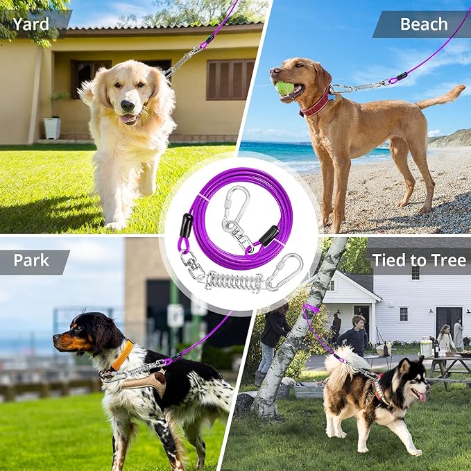 Jenico Dog Tie Out Cable, 10/15/20/30/40/50/70/100/150FT Runner Cable with Swivel Hook and Shock Spring, Outdoor and Camping Dog Leash Run Tether for Small to Medium Pets Up to 500 LBS