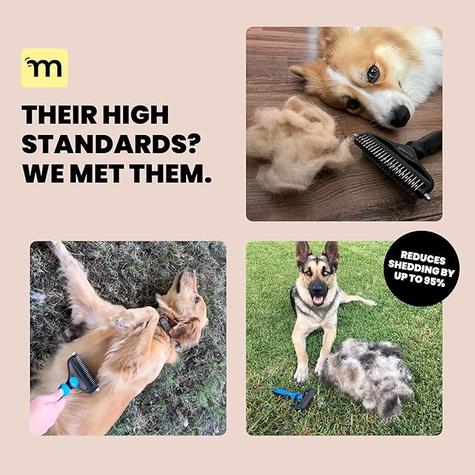 MalsiPree Dog Brush for Shedding - 2 in 1 Undercoat Rake Deshedding Tool for Medium to Large Double-Coated Dog Grooming - Pet Dematting Comb - Pet Deshedder (Blue)