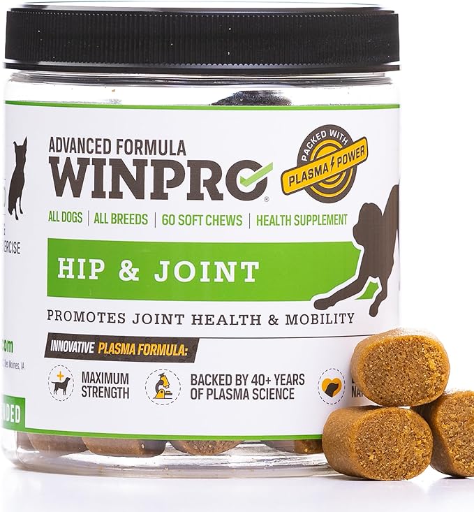 WINPRO Hip & Joint Supplement for Dogs - Plasma Powered Chews for Joint Health & Mobility – Fast-Acting with Collagen & Natural Ingredients for Dogs of All Breeds – 60 Chews – Made in USA