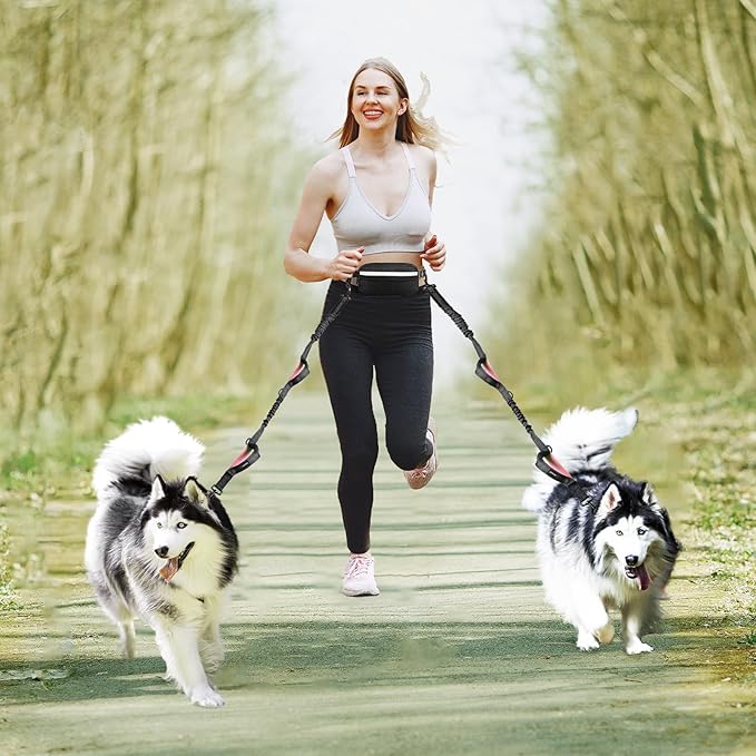 Hands Free Dog Running Leash with Waist Belt, Dual Handle Elastic Bungees Retractable Rope for Small and Medium Dogs, Reflective Stitches for Walking Hiking Biking (Medium Pink, 8-25lb)