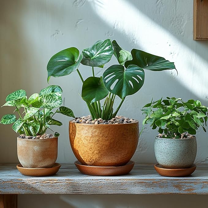 10LB Natural River Rocks, 1/4" Aquarium Gravel, Small Pebbles for Plants, Pea Gravel for Fish Tanks, Decorative Rocks for Gardening, Flower Pots, Vase Fillers, Indoor Fountains (10 LBS)