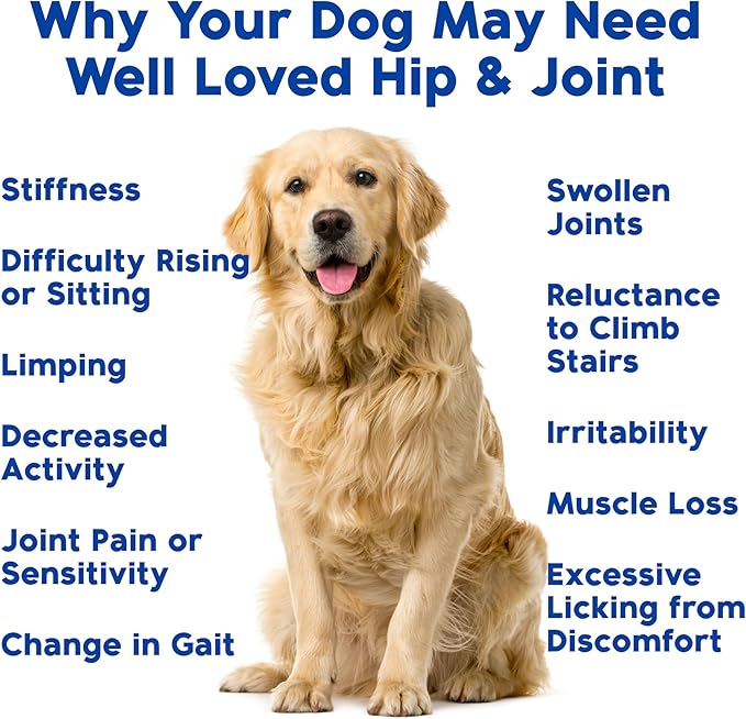 Glucosamine for Dogs - Joint Supplement for Dogs, Made in USA, Vet Developed, Glucosamine Chondroitin, Hip and Joint Chews with MSM, Large Breed, Pain Relief, 120 Chews