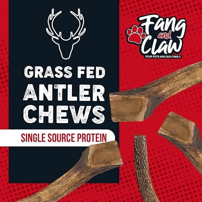 Fang & Claw Grass-Fed Deer Antlers for Dogs – 7.5–10" Antler Chews, 4-Pack – Long-Lasting Dog Chews for All Dogs & Aggressive Chewers