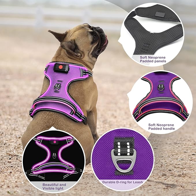 Light Up Dog Harness, No Pull LED Dog Harness with Handle, Rechargeable Lighted Safety Vest for Small Medium Large Dogs, Adjustable Soft Dog Lights for Night Walking