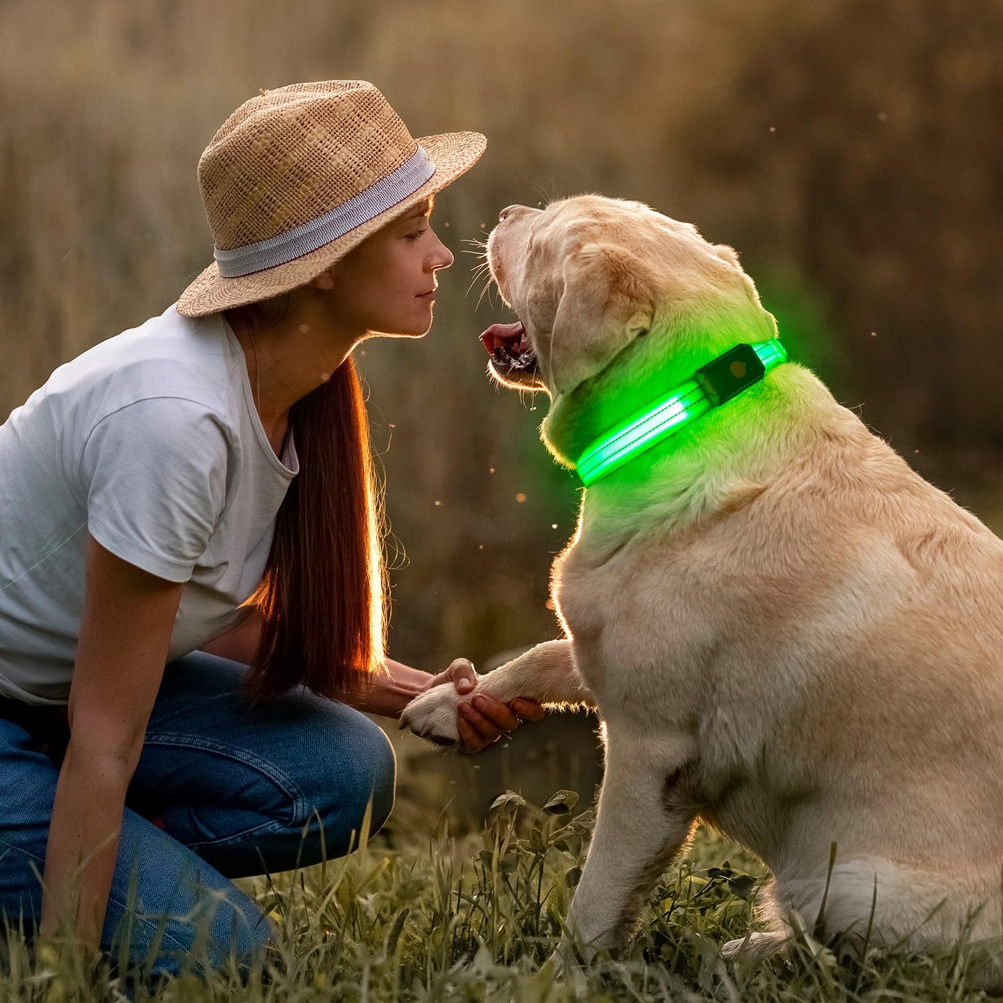 Light Up Dog Collar for Night Walking Flashing, LED Dog Collar Light Rechargeable Reflective Dog Collar Water-Resistant Adjustable Size Dog Collars for Medium Dogs