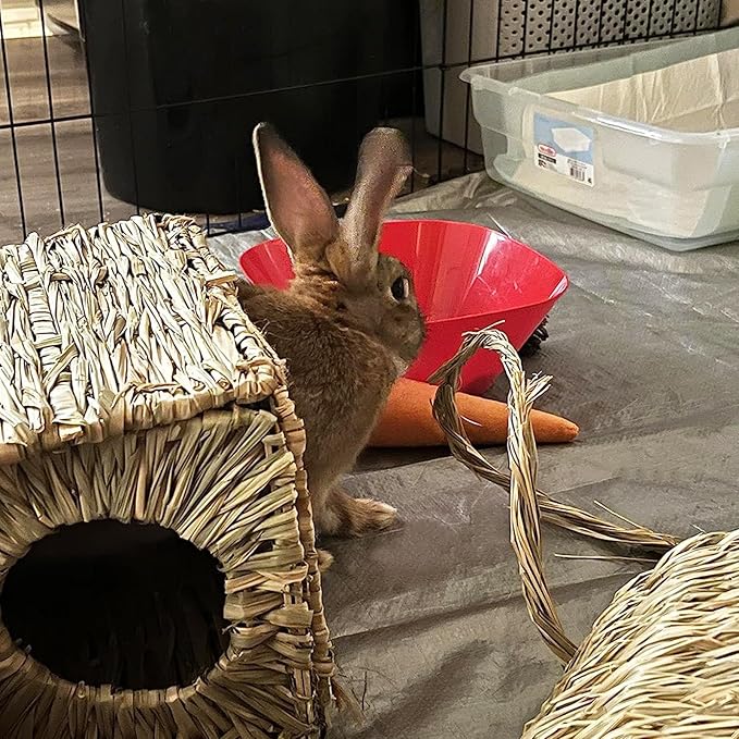 LWINGFLYER Rabbit Grass House Bunny Grass House Sleeping Chew Toys for Small Animal Bunny Hamster Chinchillas Guinea Pet Hay Bed (1PCS)