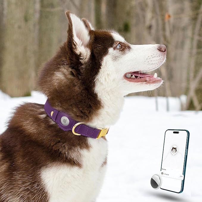 Leather Airtag Dog Collar - Soft Tracking Dog Collar with Apple AirTag Holder and Metal Buckle - Safety GPS Pet Collars for Small Medium Large Dogs Puppy Pink Red (Purple, L, 17"-21" Neck Fit)