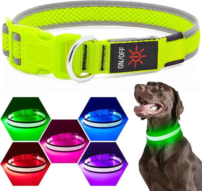 LED Dog Collar, Light Up Dog Collar USB Rechargeable, Brightest Dog Lights for Night Walking, Adjustable Dog Collar Light for Dog Safety(Small, Neon Green)